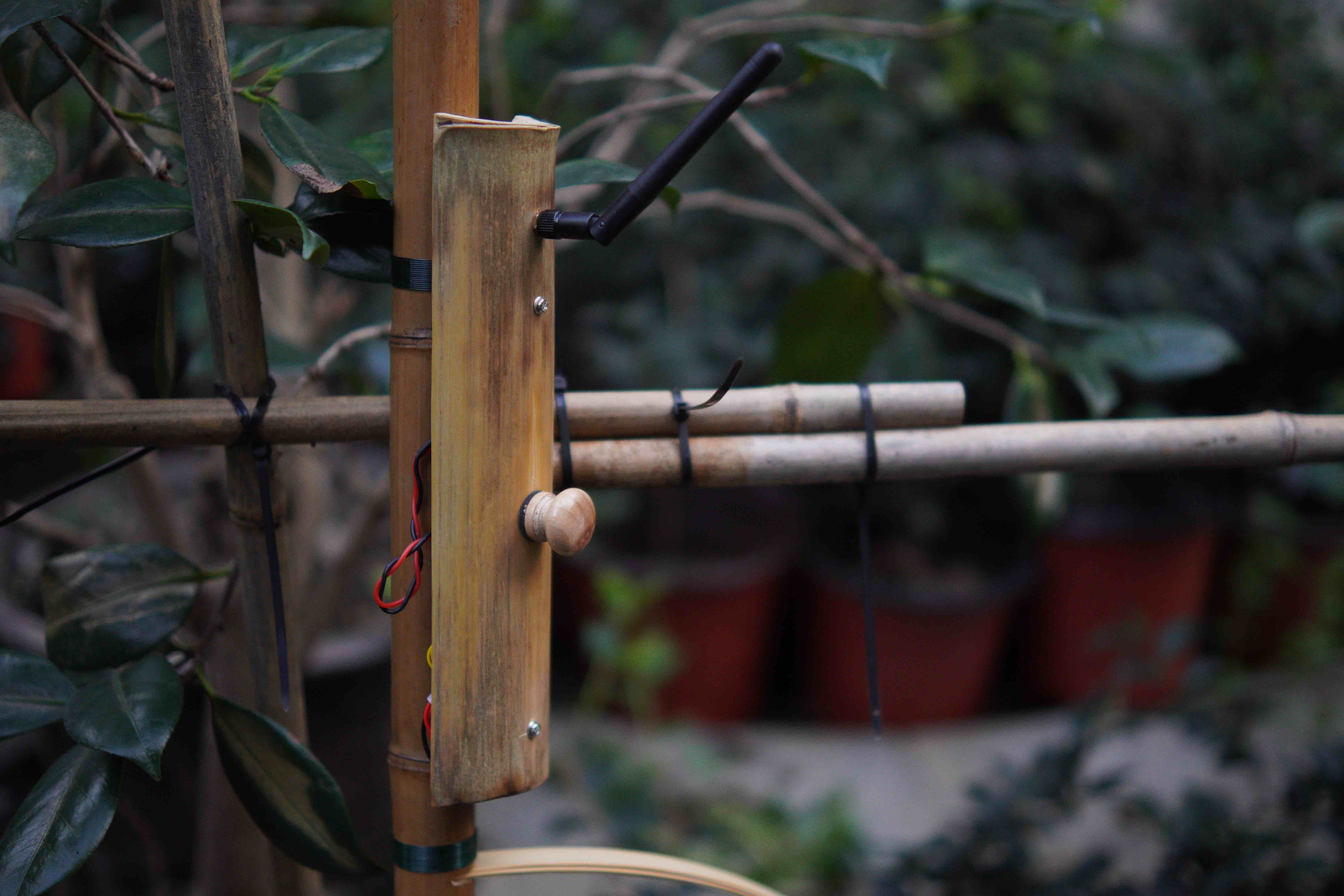 Zhu Nao bamboo-based digital musical instrument installed among plants